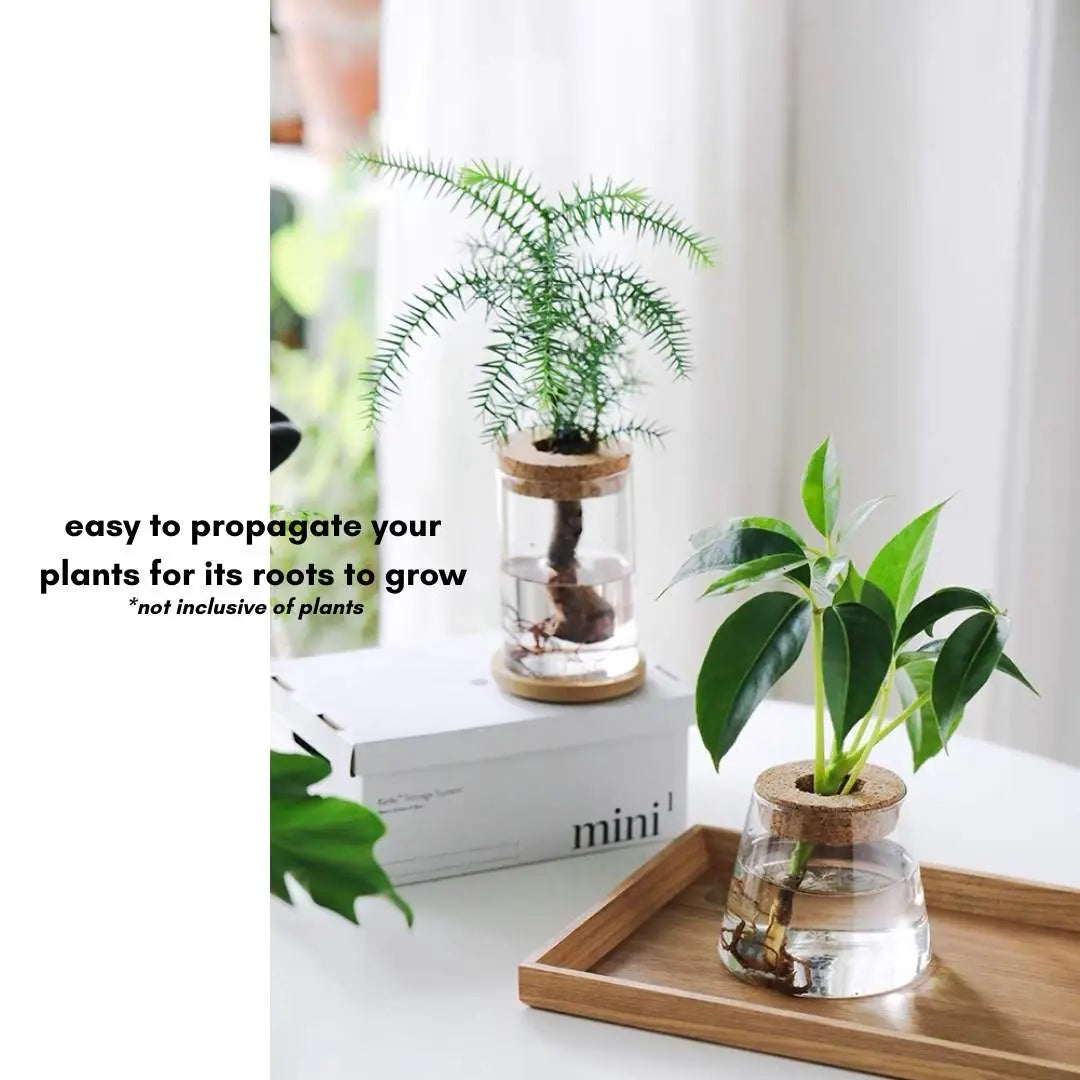 Plant Propagating Glass Jar-Speckled Space