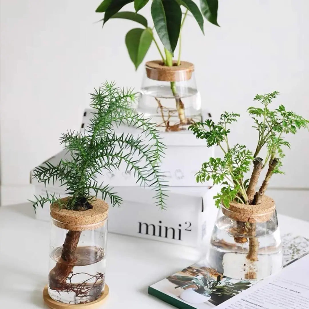 Plant Propagating Glass Jar-Speckled Space