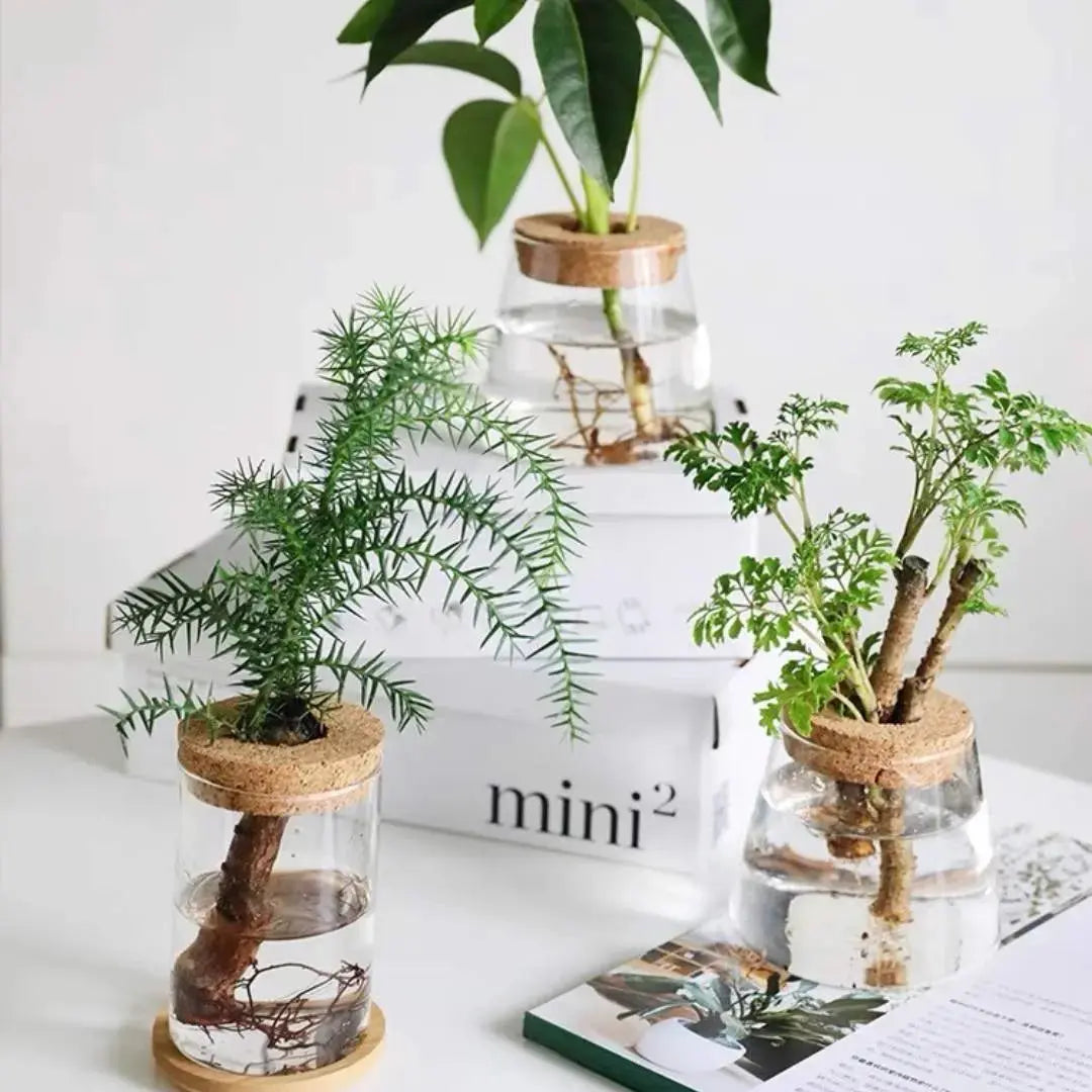 Plant Propagating Glass Jar-Speckled Space