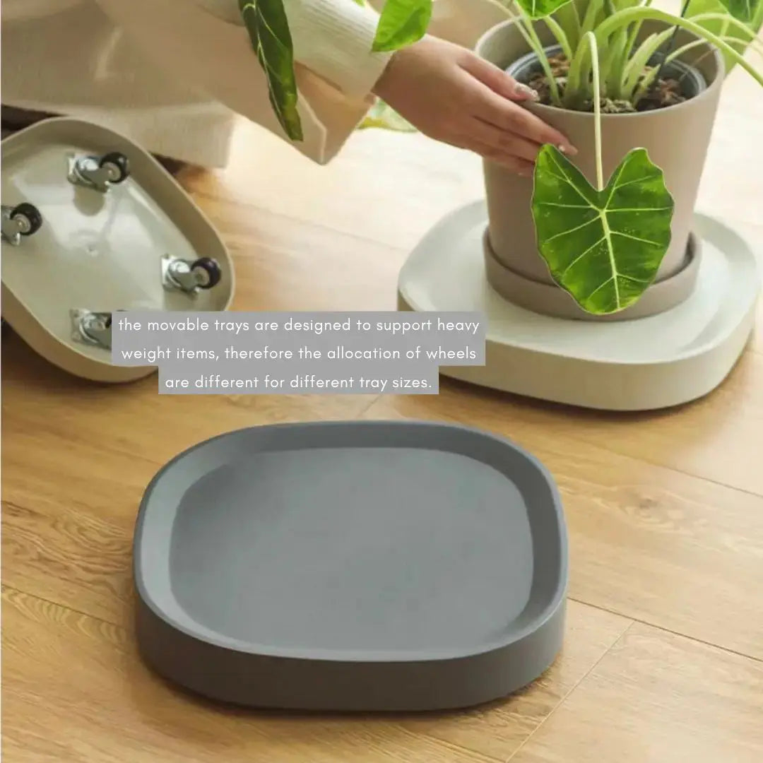 Movable Functional Square Plant Pot Tray with Wheels My Store