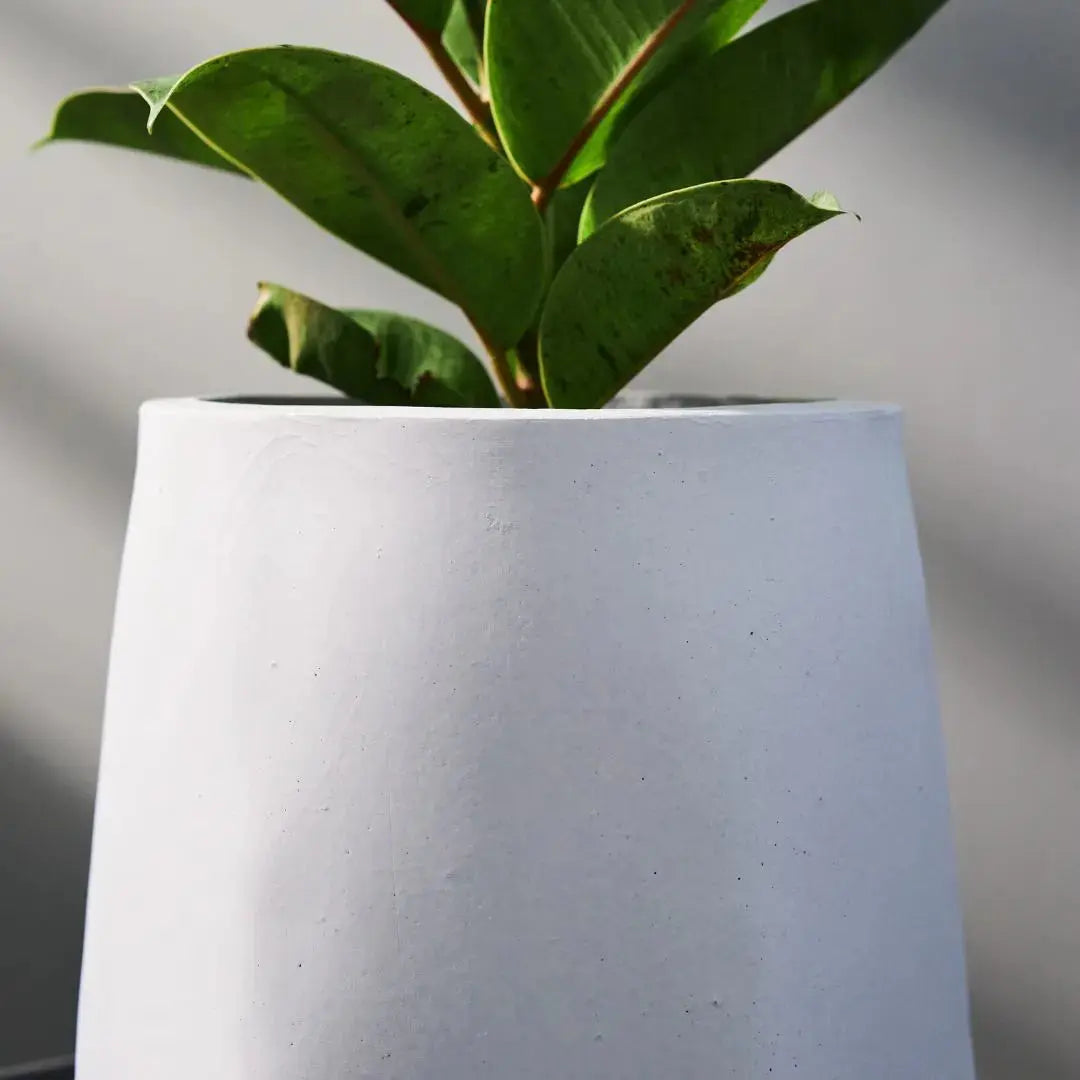 Pylota Concrete Flower Pot-Speckled Space