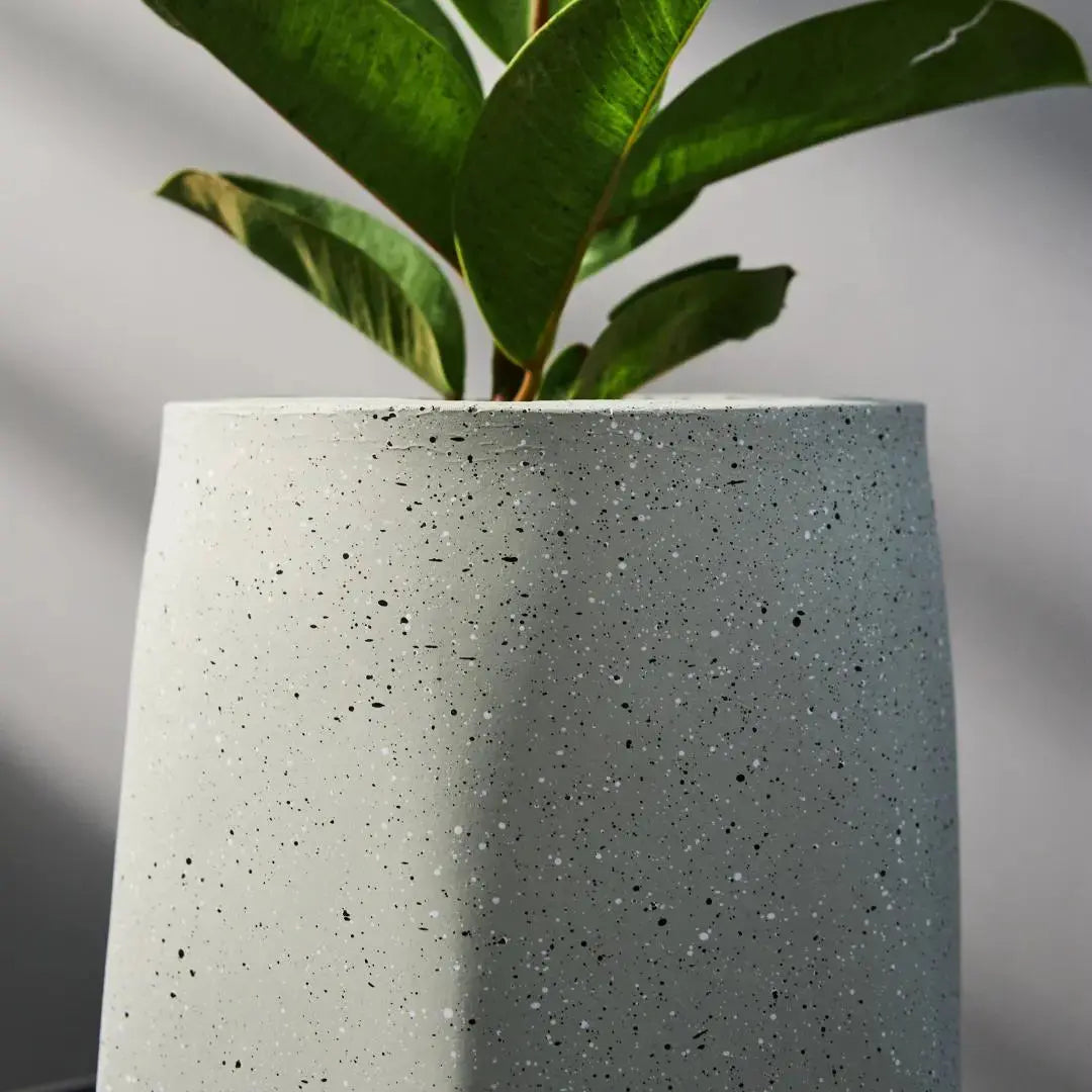 Pylota Concrete Flower Pot-Speckled Space