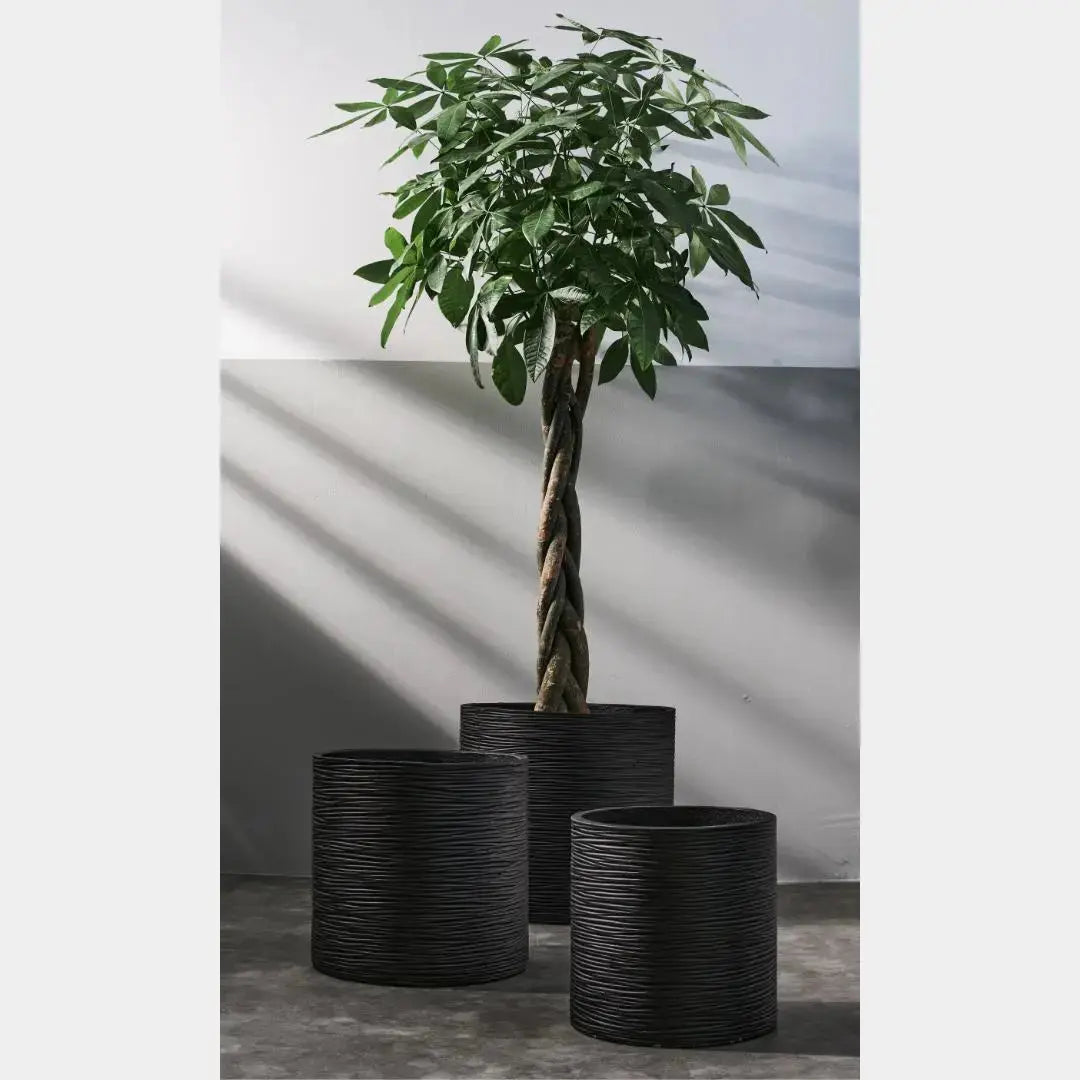 Pylota Concrete Flower Pot-Speckled Space