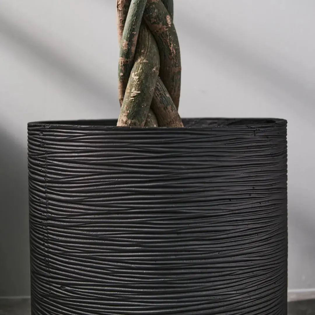 Pylota Concrete Flower Pot-Speckled Space