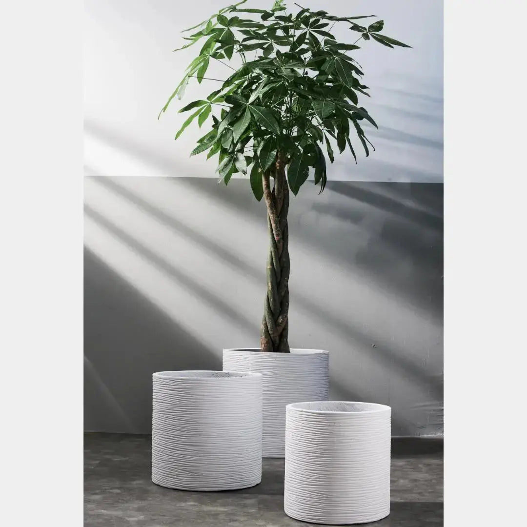 Pylota Concrete Flower Pot-Speckled Space