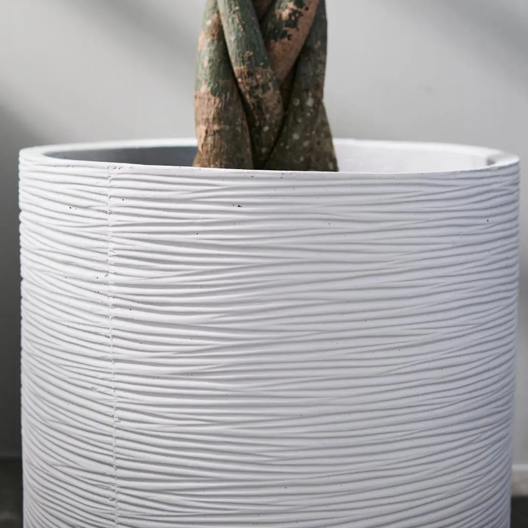 Pylota Concrete Flower Pot-Speckled Space