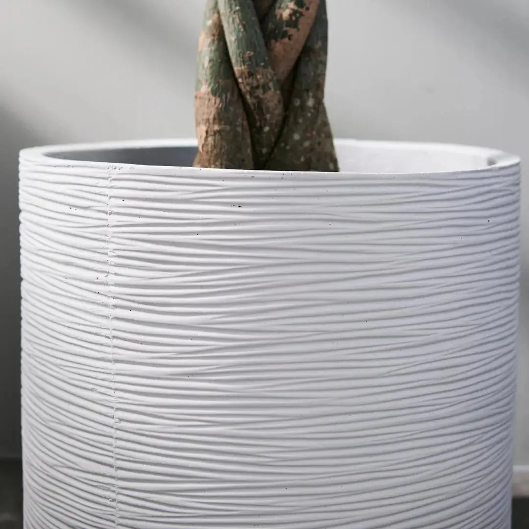Pylota Concrete Flower Pot-Speckled Space