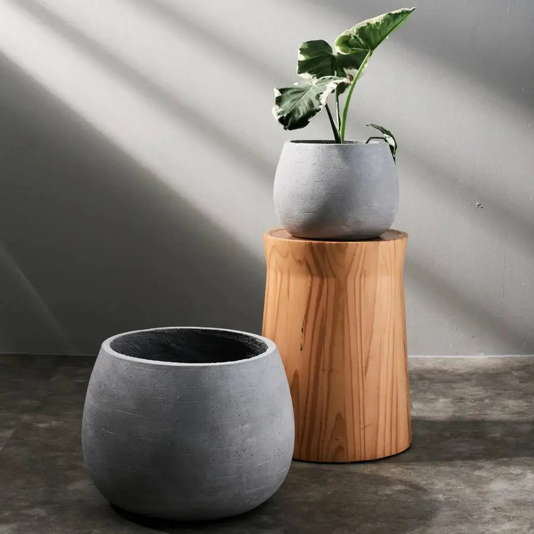 Pylota Concrete Flower Pot-Speckled Space