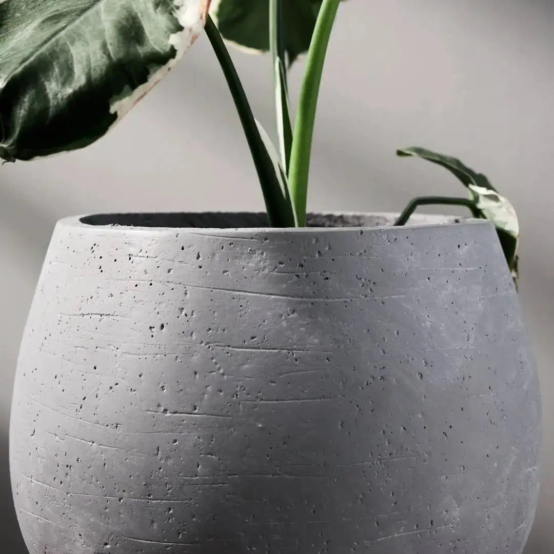 Pylota Concrete Flower Pot-Speckled Space