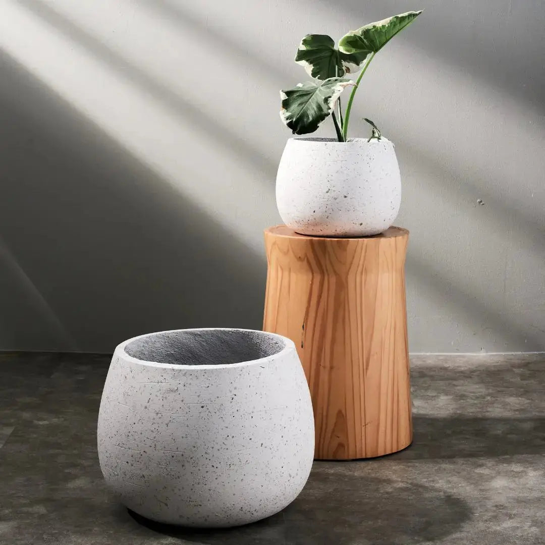 Pylota Concrete Flower Pot-Speckled Space