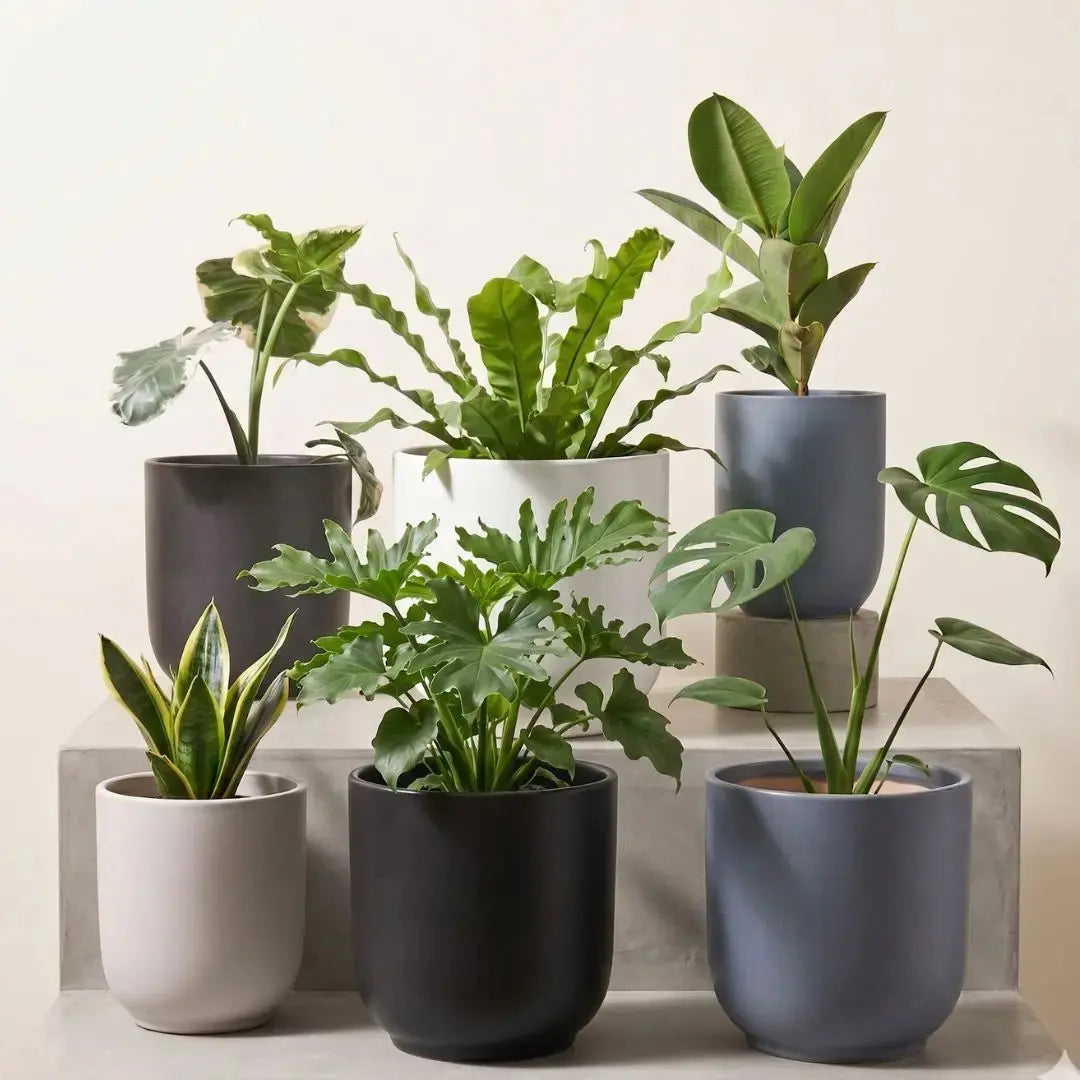 Modern Ceramic Plain Coloured Flower Pot My Store