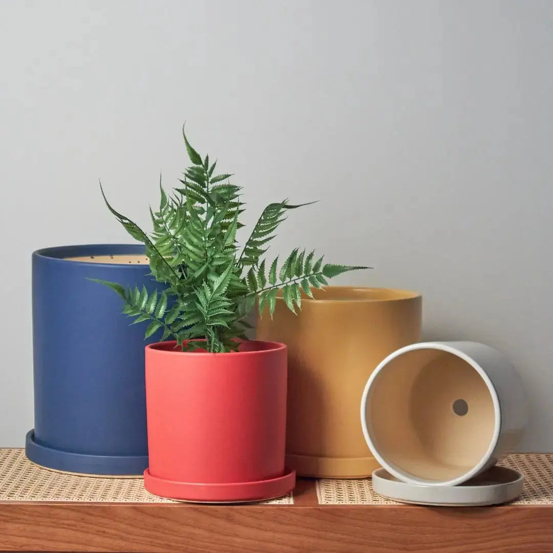 Benedic Ceramic Flower Pot-Speckled Space