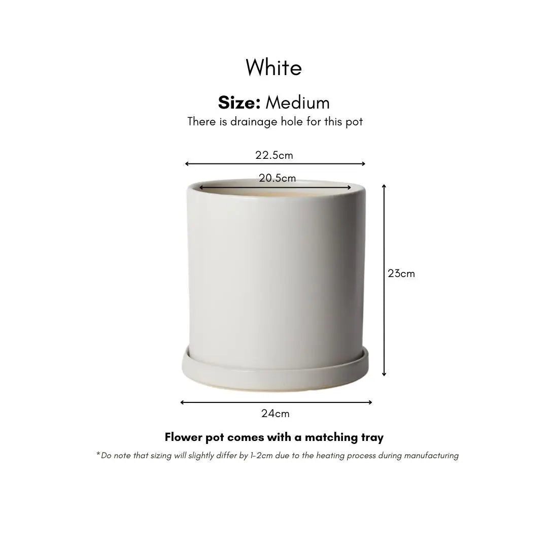 Benedic Ceramic Flower Pot-Speckled Space