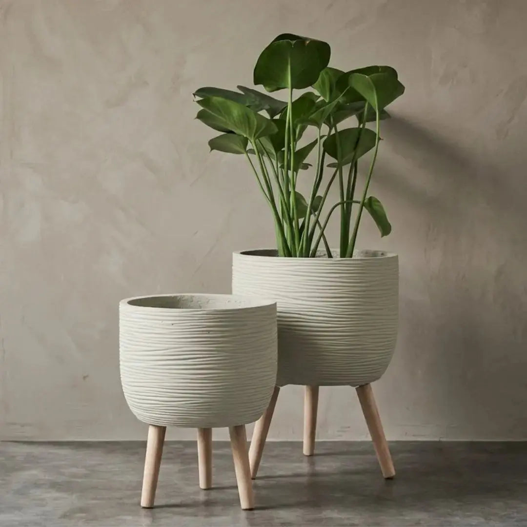 Pylota Concrete Flower Pot - Design O My Store