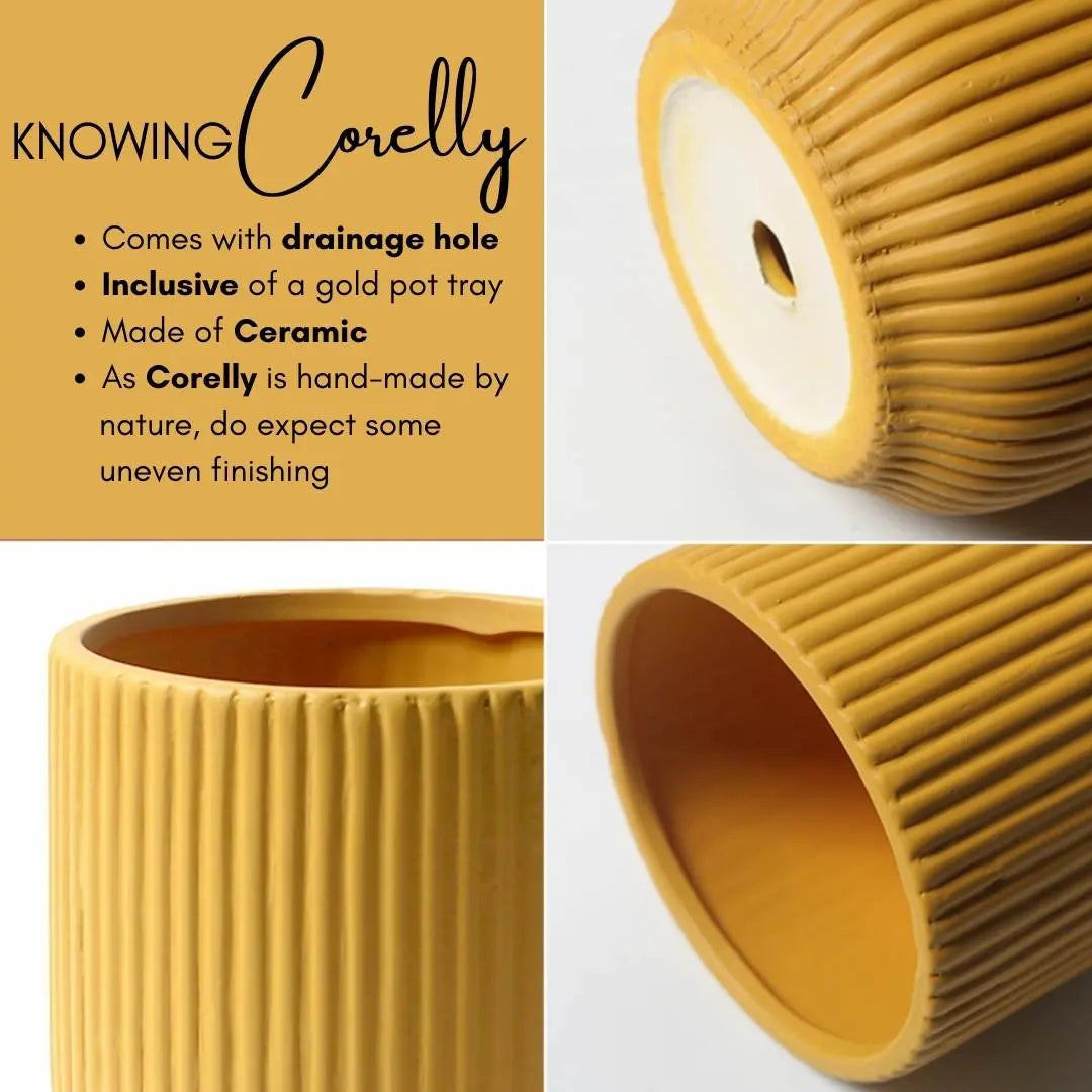 Corelly Ceramic Flower Pot-Speckled Space