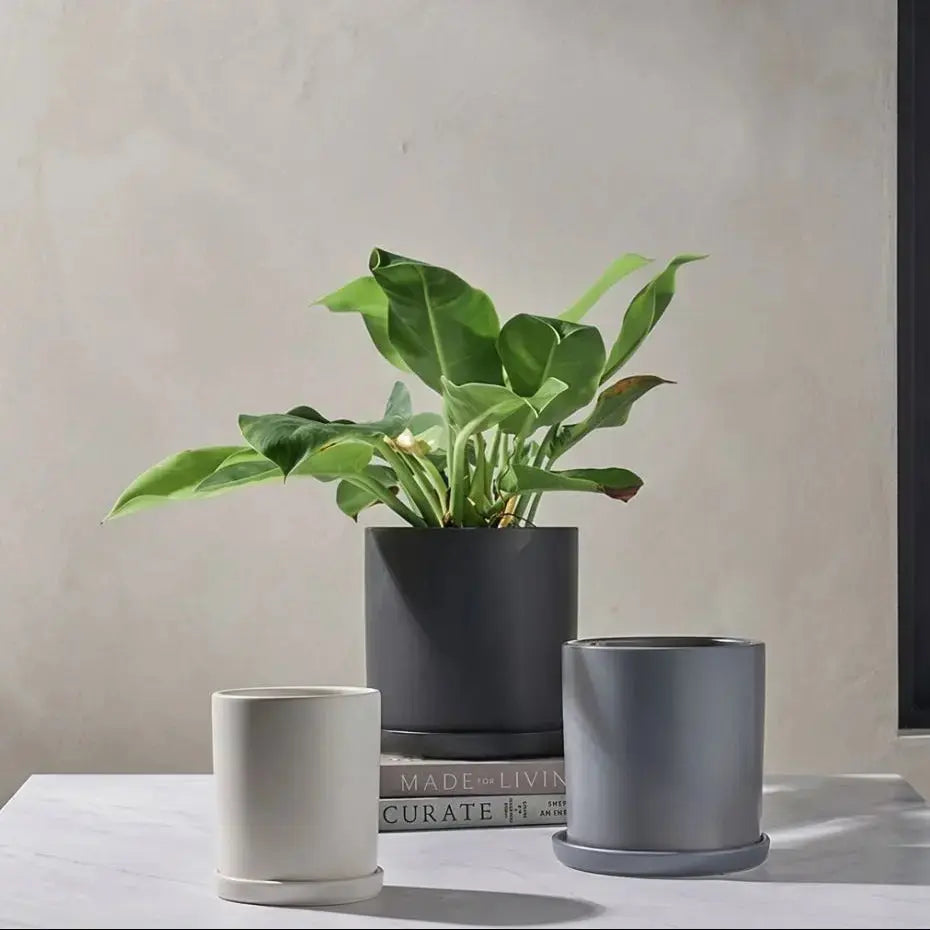 Ava Ceramic Flower Pot My Store