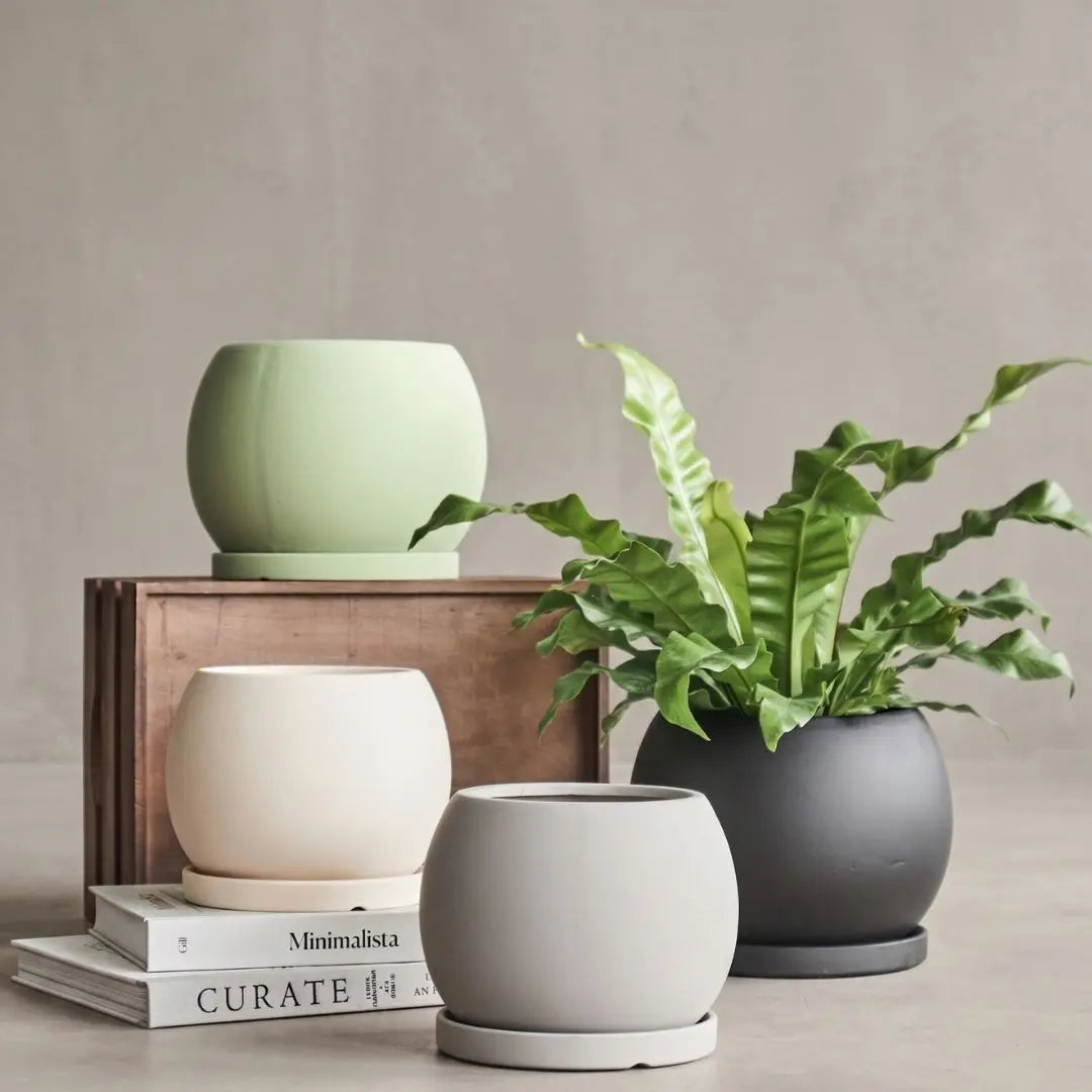 Como Ceramic Flower Pot My Store