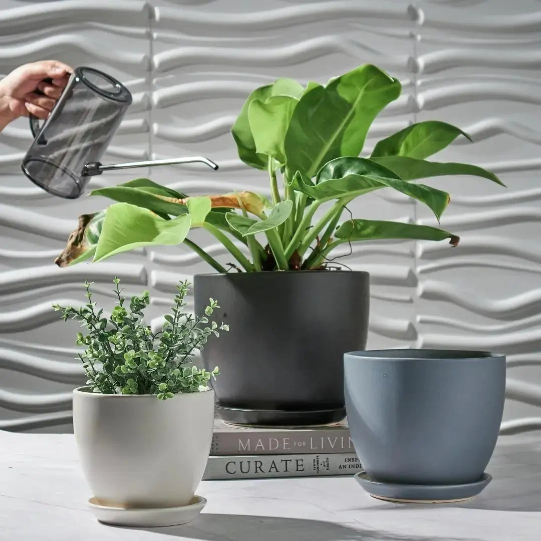 Joe Ceramic Flower Pot-Speckled Space