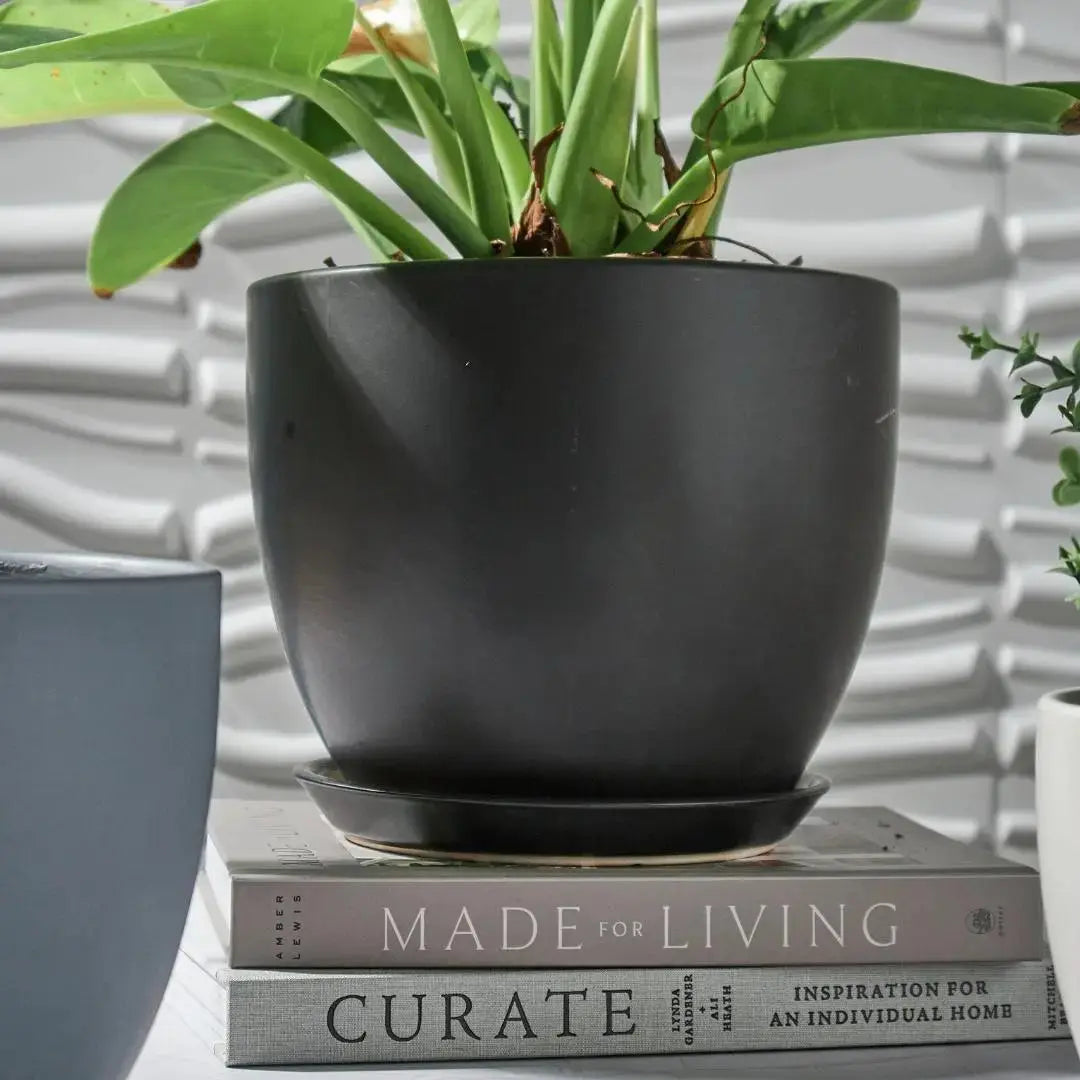 Joe Ceramic Flower Pot-Speckled Space