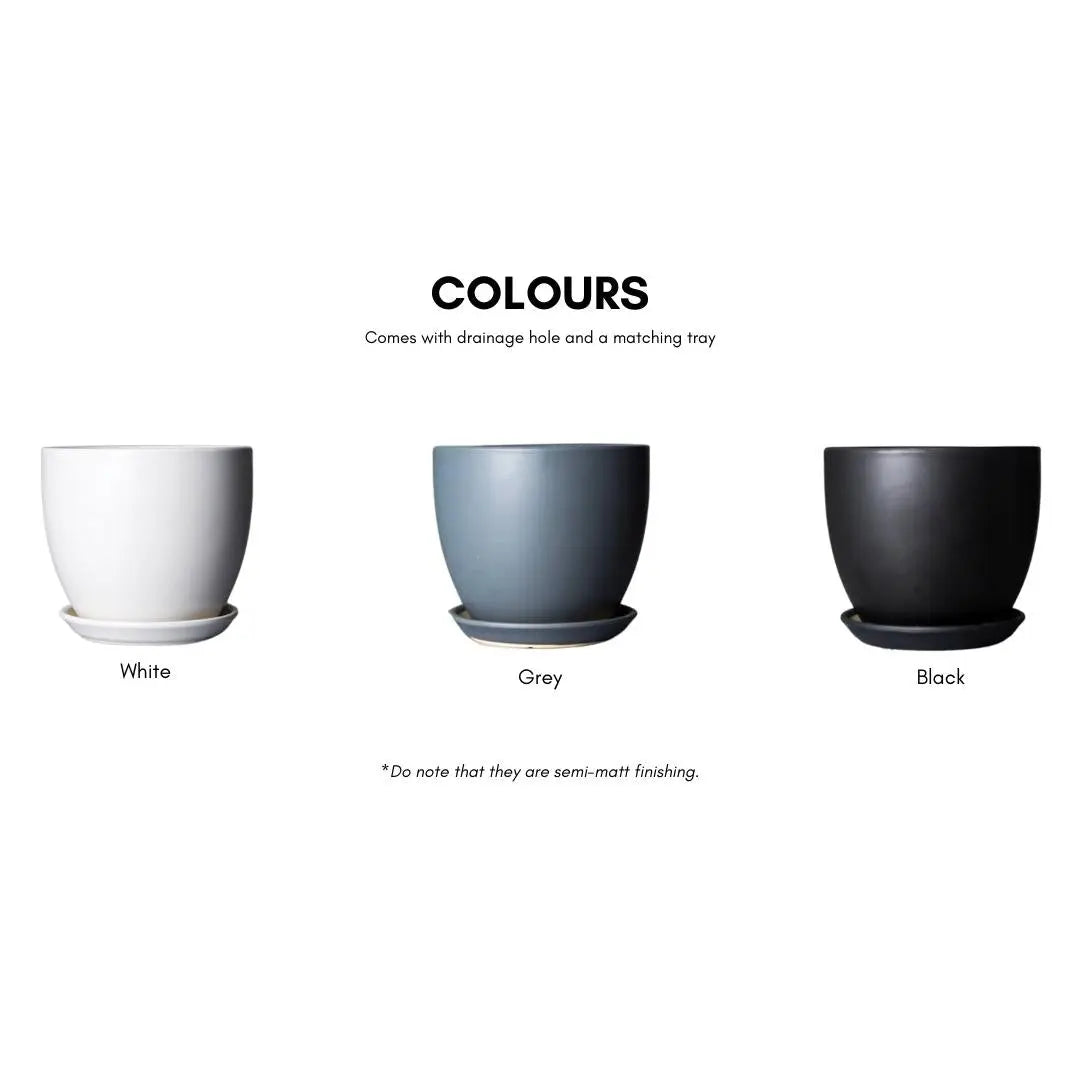 Joe Ceramic Flower Pot-Speckled Space