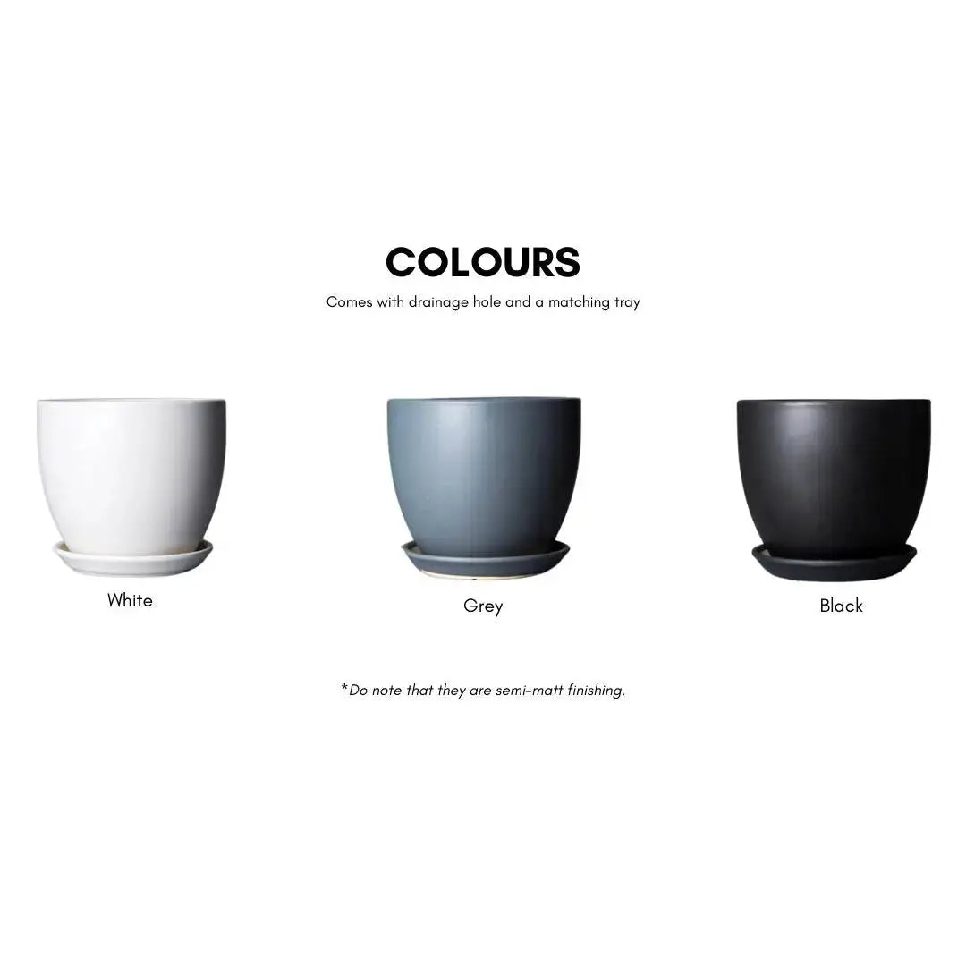 Joe Ceramic Flower Pot-Speckled Space