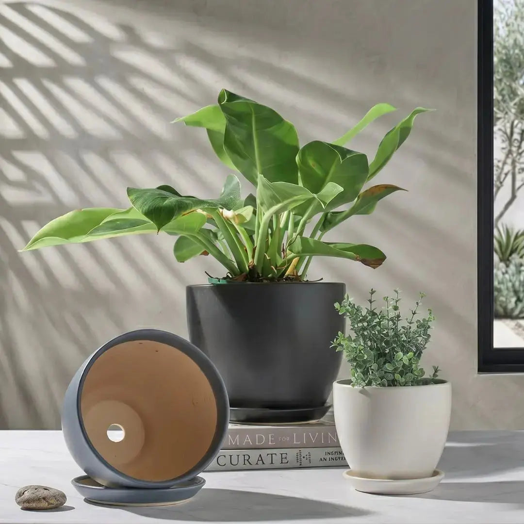 Joe Ceramic Flower Pot My Store