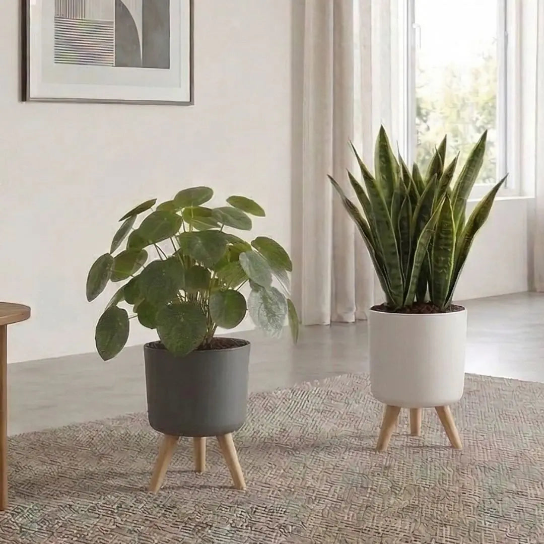 Elevated Plastic Self-Watering Flower Pot My Store