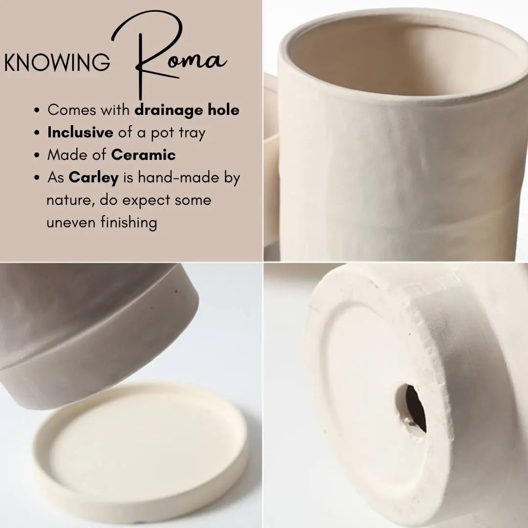 Roma Ceramic Flower Pot-Speckled Space