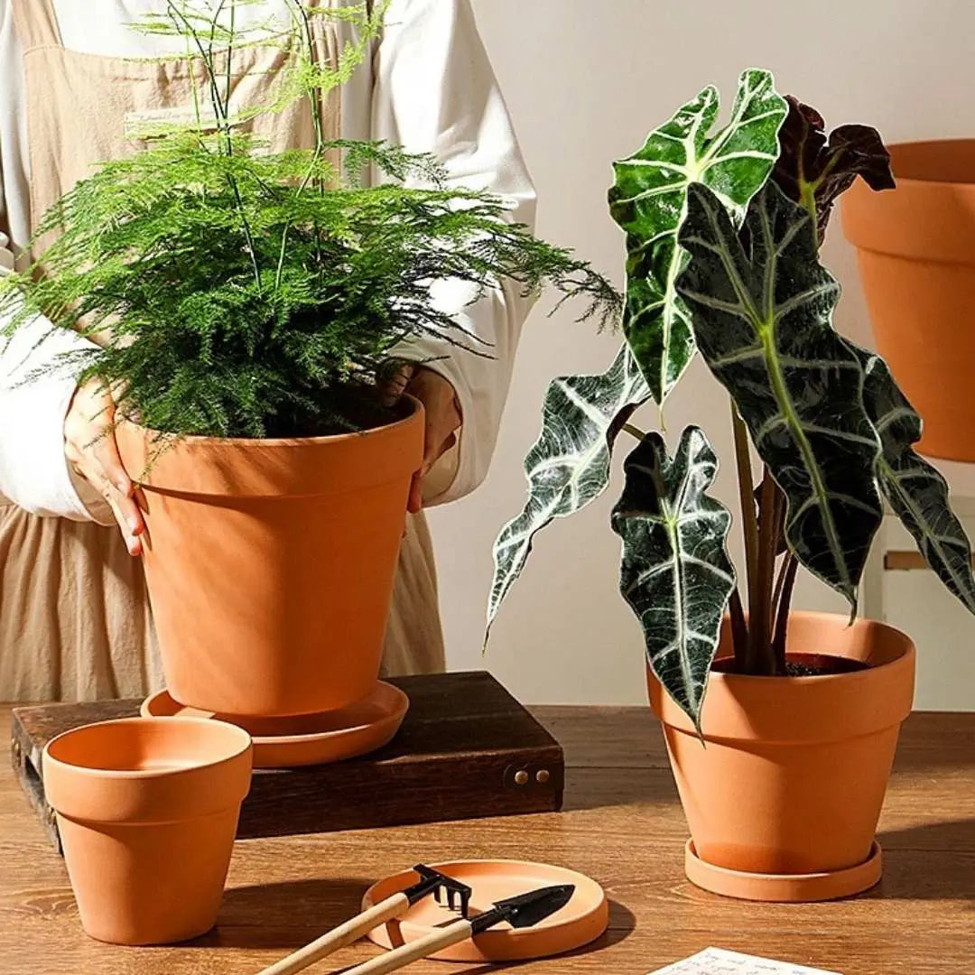Bundle Set Terracotta Pottery Pots-Speckled Space