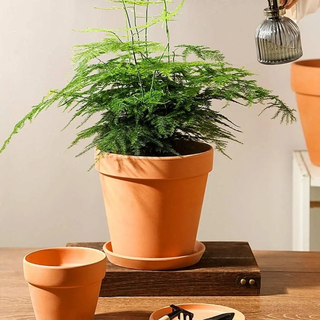 Bundle Set Terracotta Pottery Pots-Speckled Space