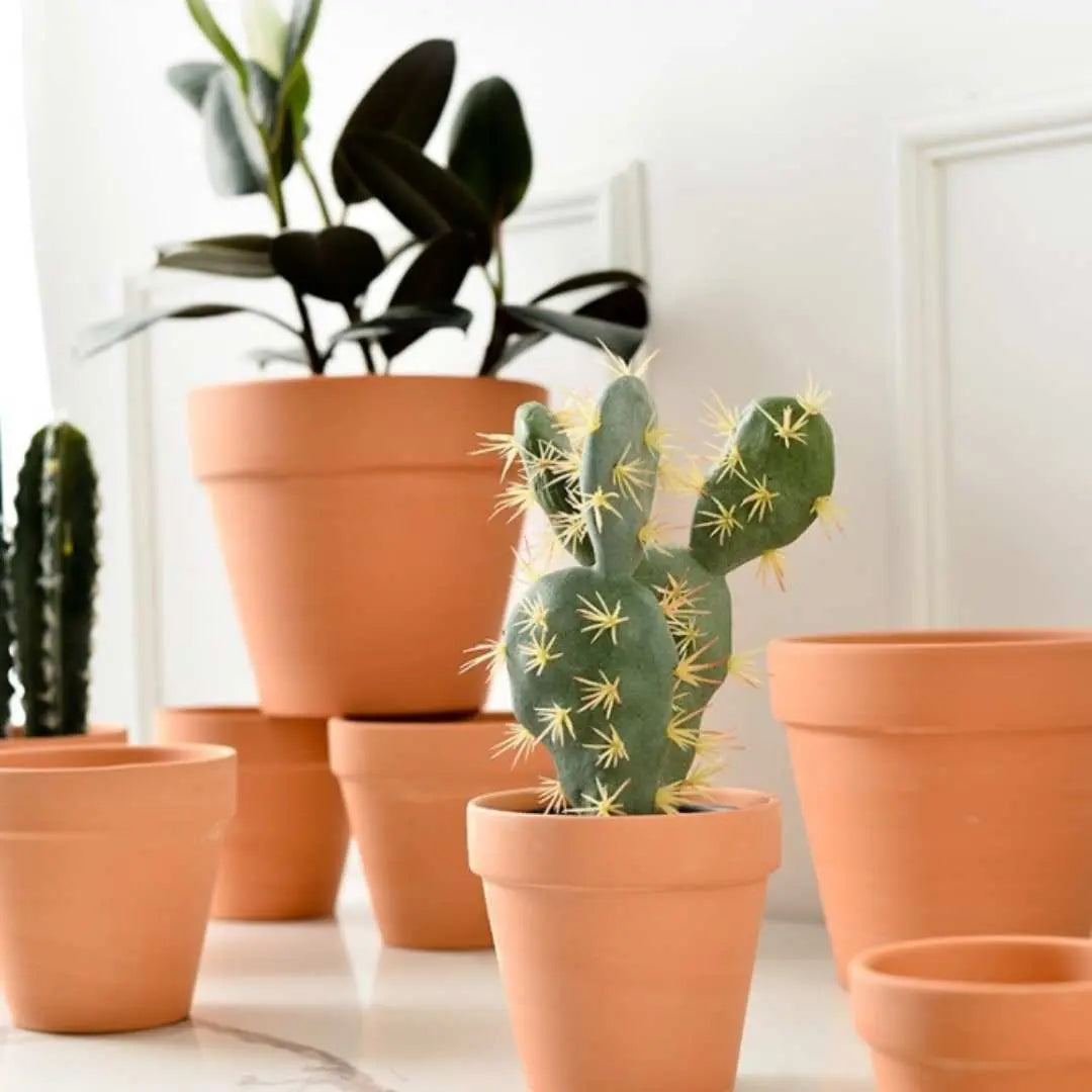 Bundle Set Terracotta Pottery Pots-Speckled Space
