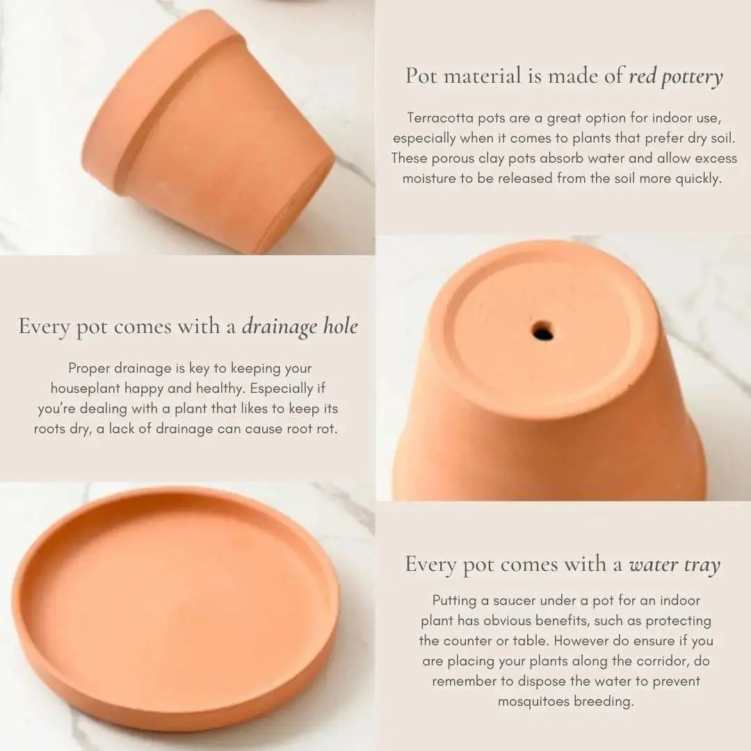 Bundle Set Terracotta Pottery Pots-Speckled Space