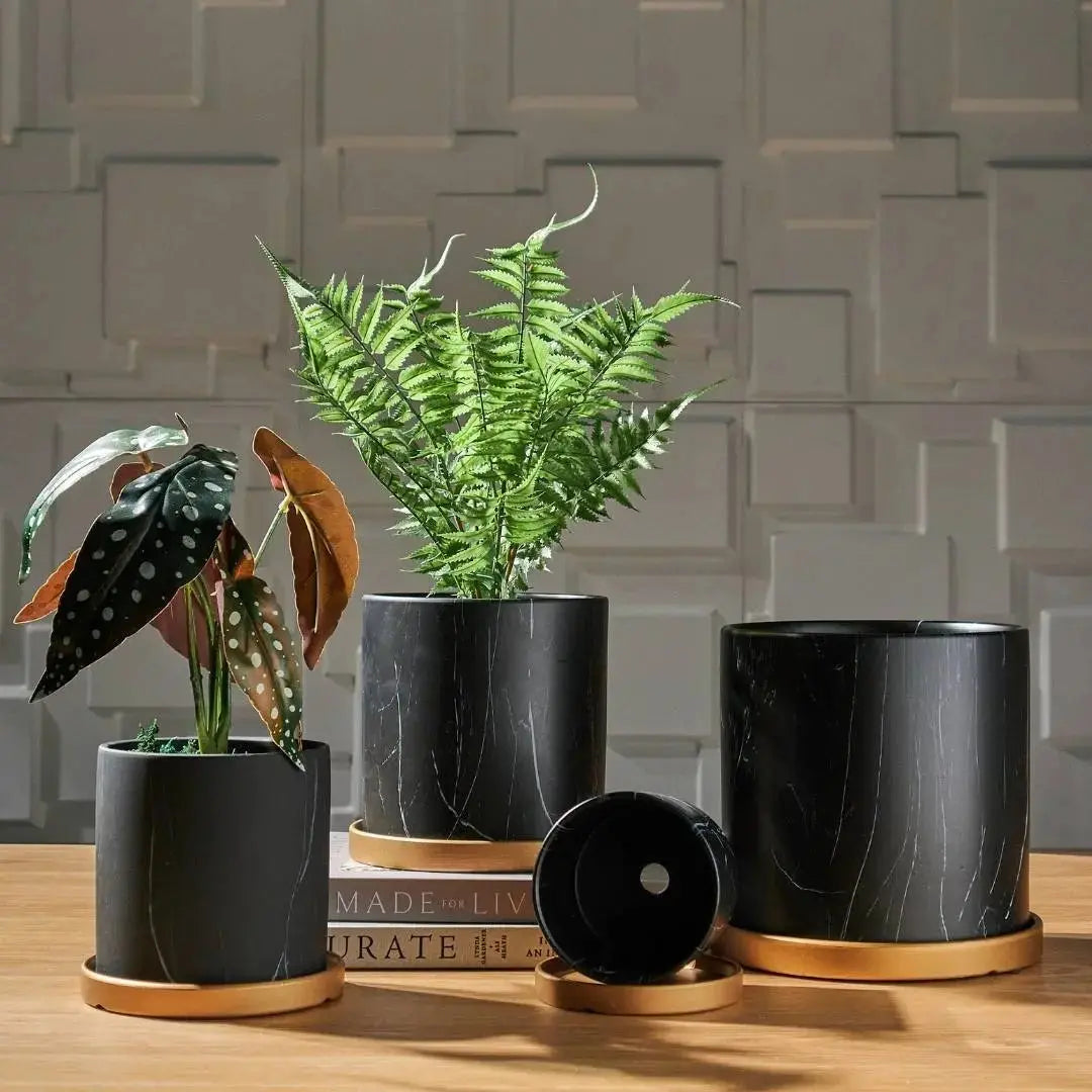 Bowie Black Marble Ceramic Flower Pot-Speckled Space