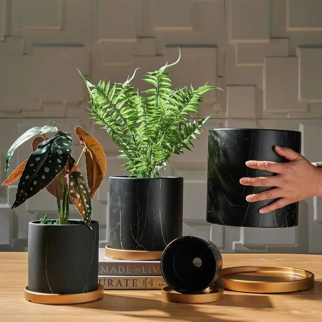 Bowie Black Marble Ceramic Flower Pot-Speckled Space