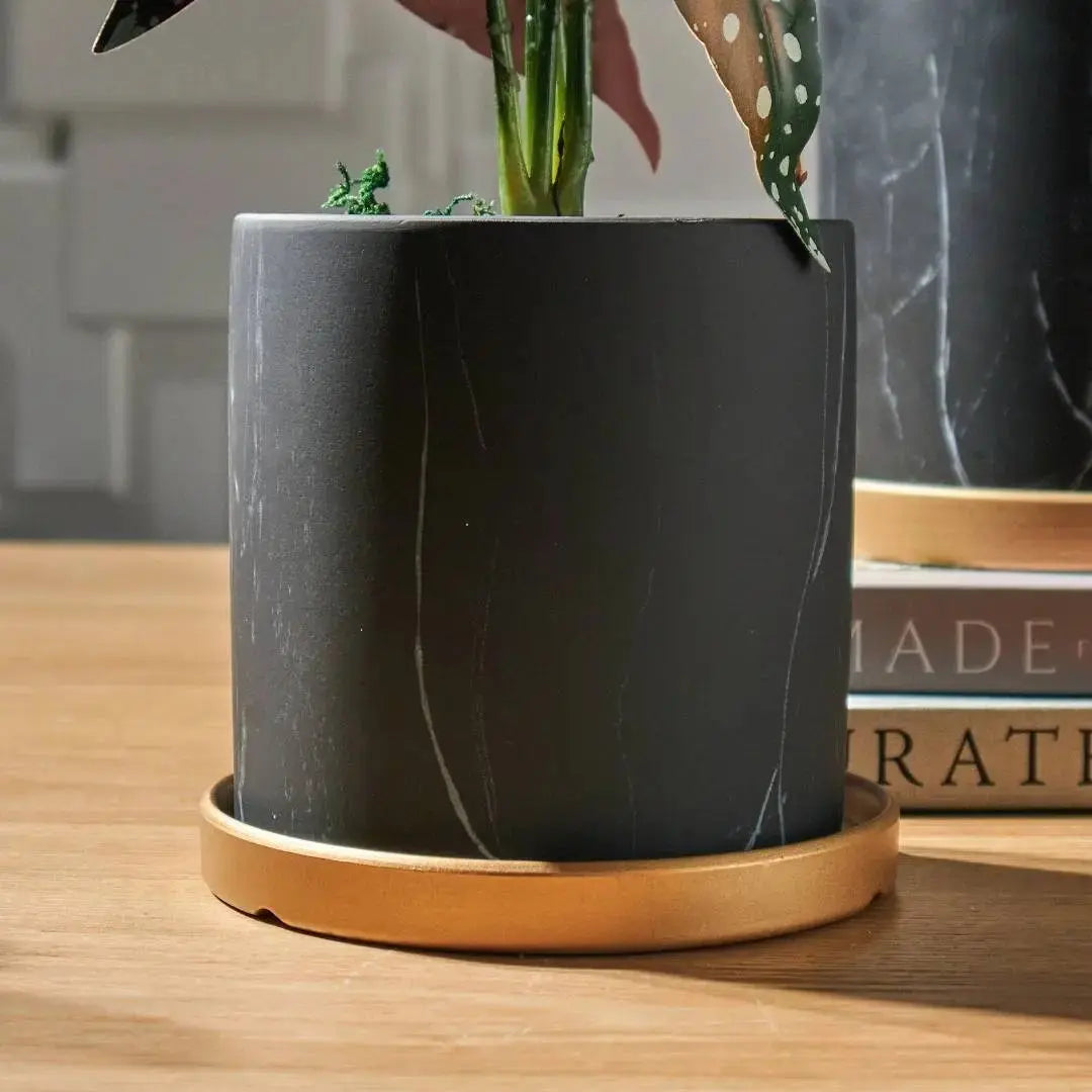 Bowie Black Marble Ceramic Flower Pot-Speckled Space