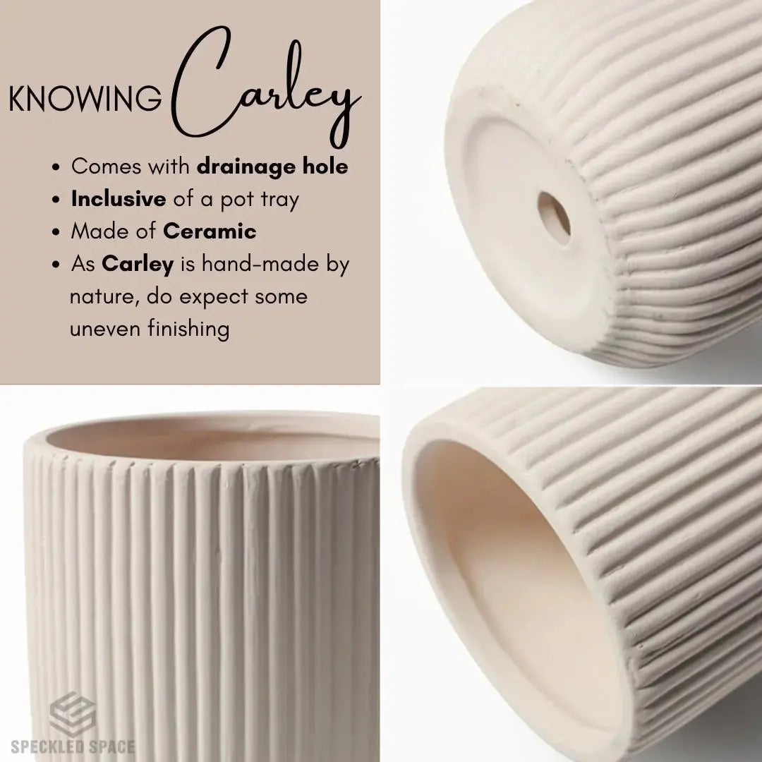 Carley Ceramic Flower Pot-Speckled Space