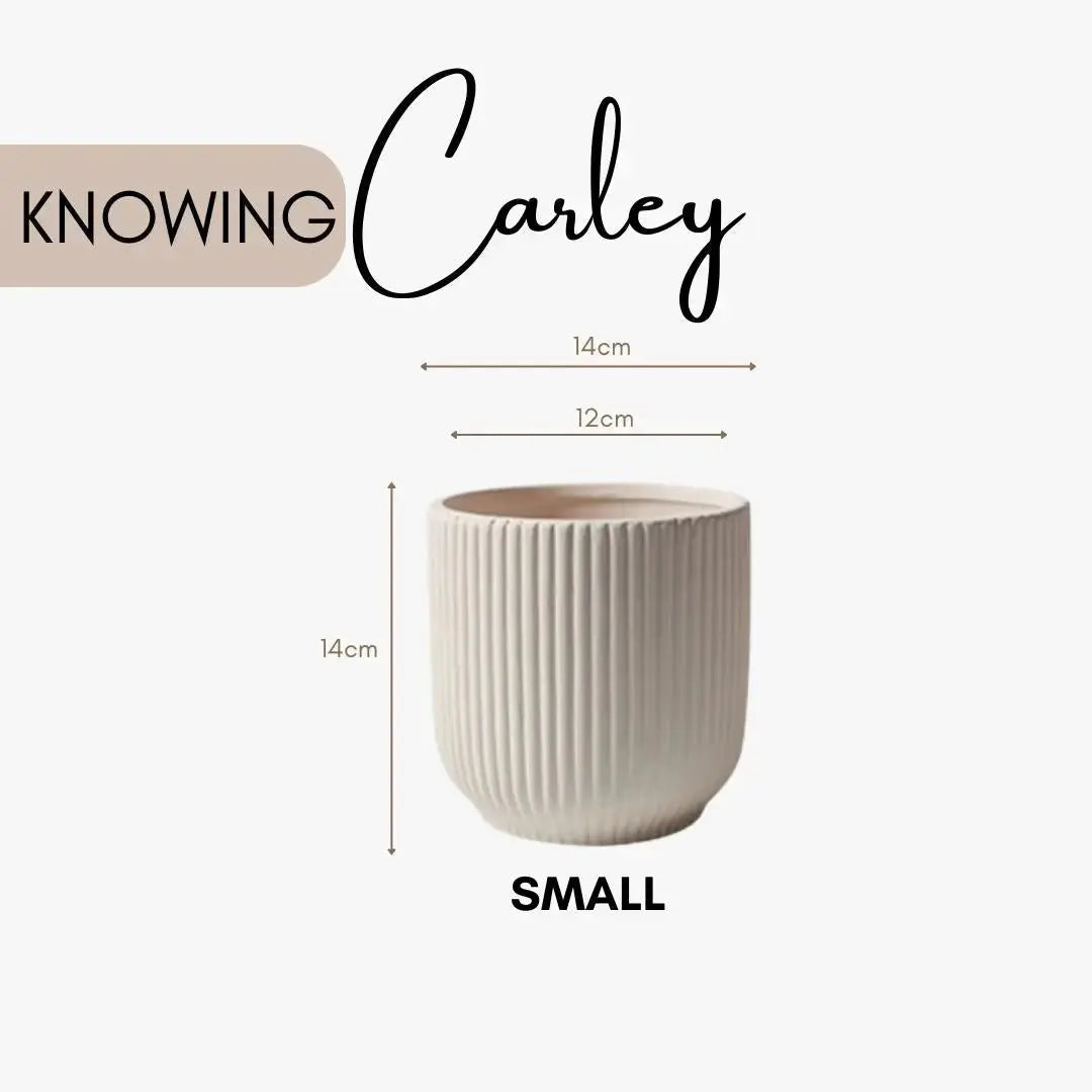 Carley Ceramic Flower Pot-Speckled Space