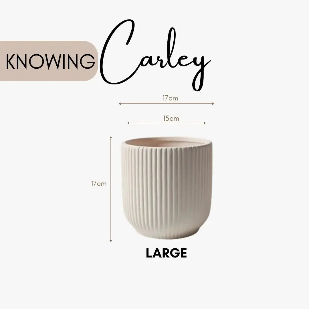 Carley Ceramic Flower Pot-Speckled Space