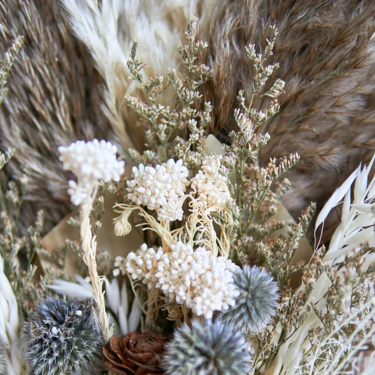 Dried Floral Pampas Arrangement B Speckled Space