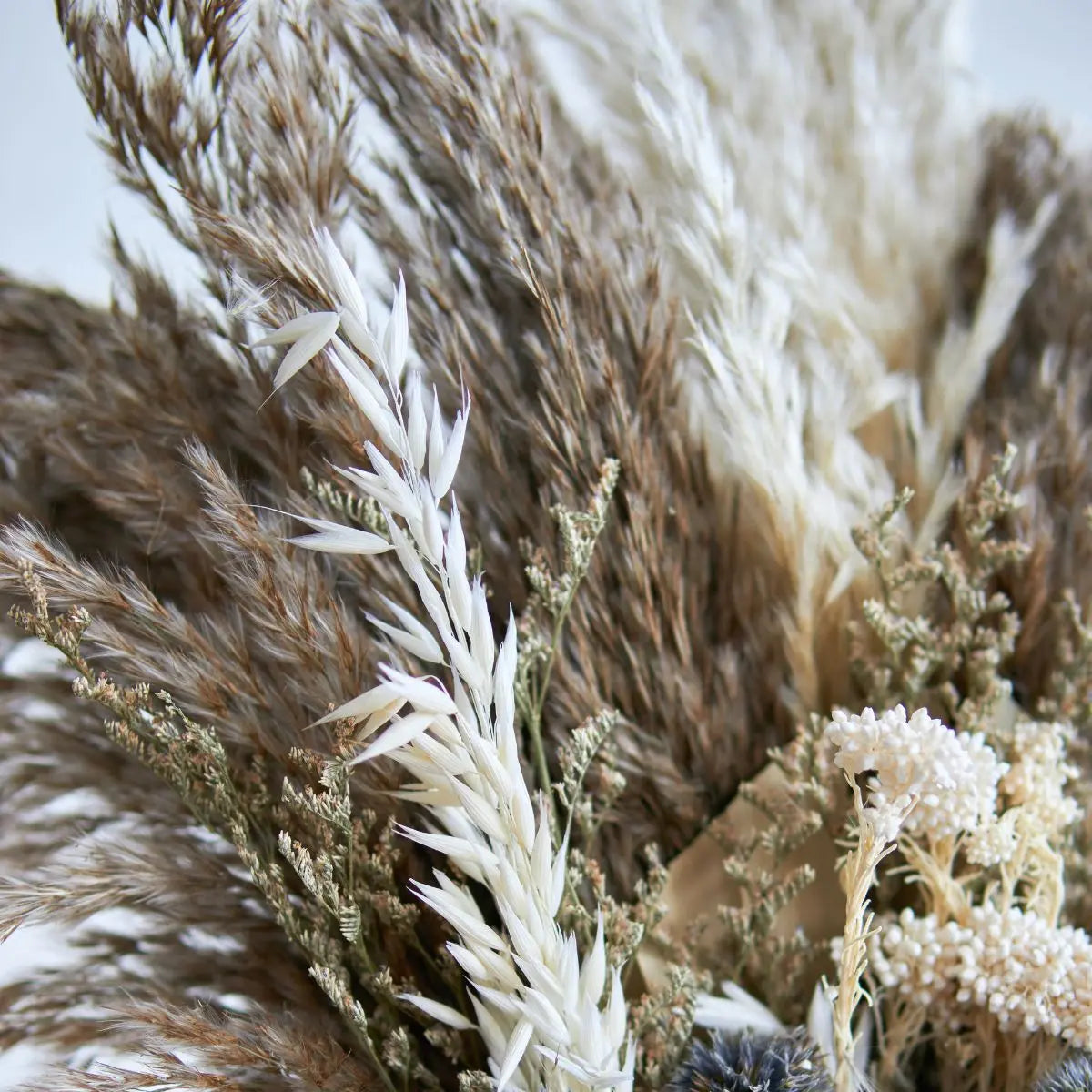 Dried Floral Pampas Arrangement B Speckled Space