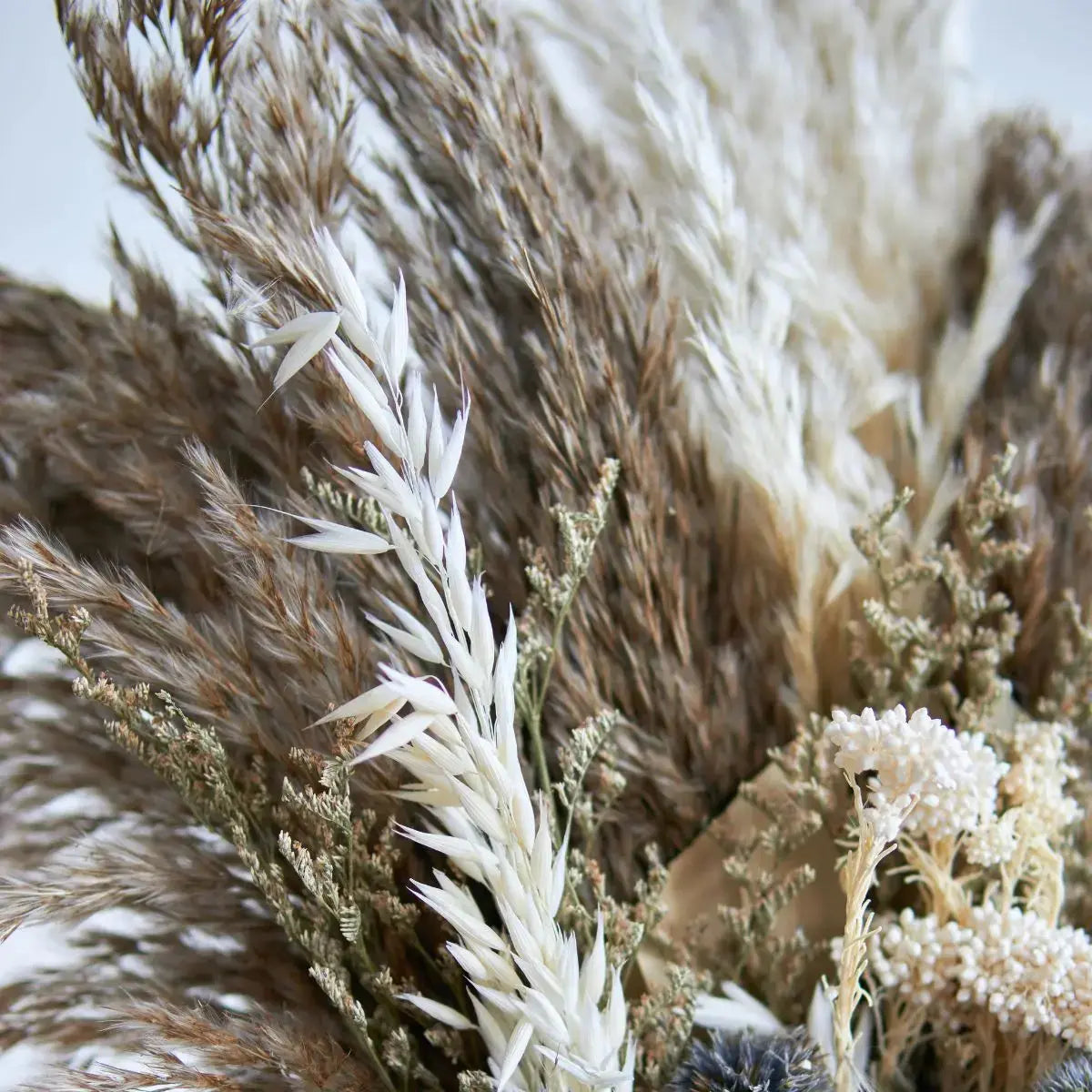 Dried Floral Pampas Arrangement B Speckled Space