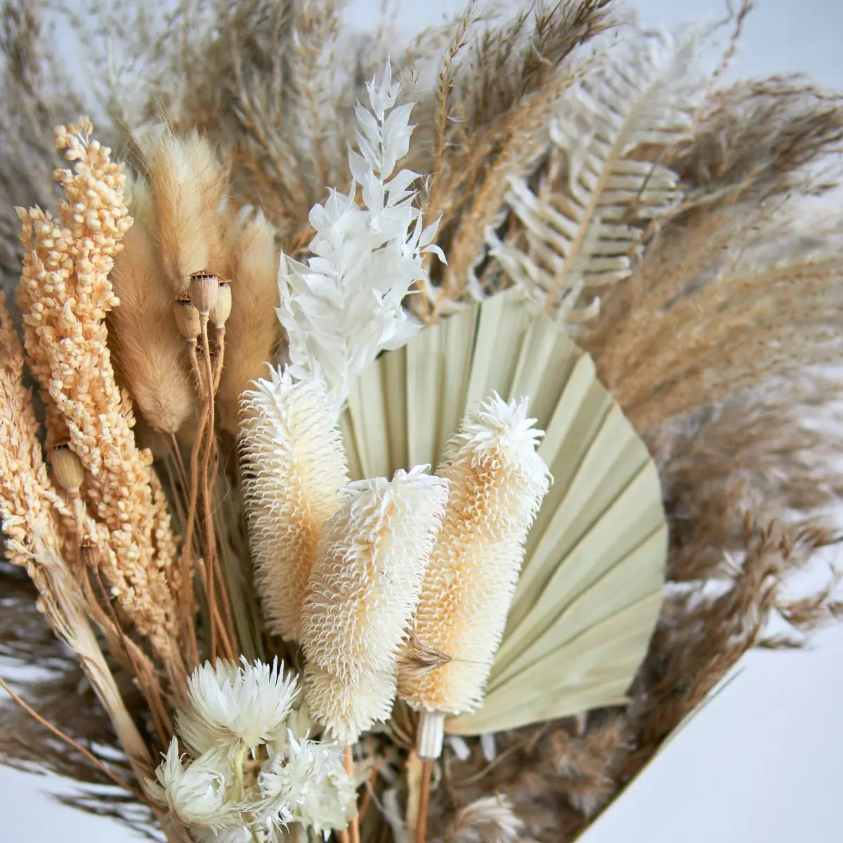 Dried Floral Pampas Arrangement C Speckled Space
