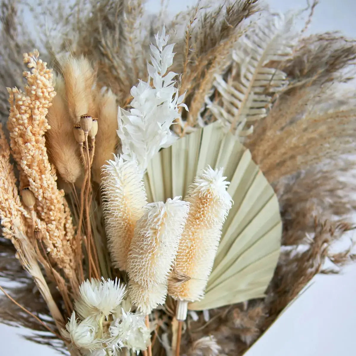 Dried Floral Pampas Arrangement C Speckled Space