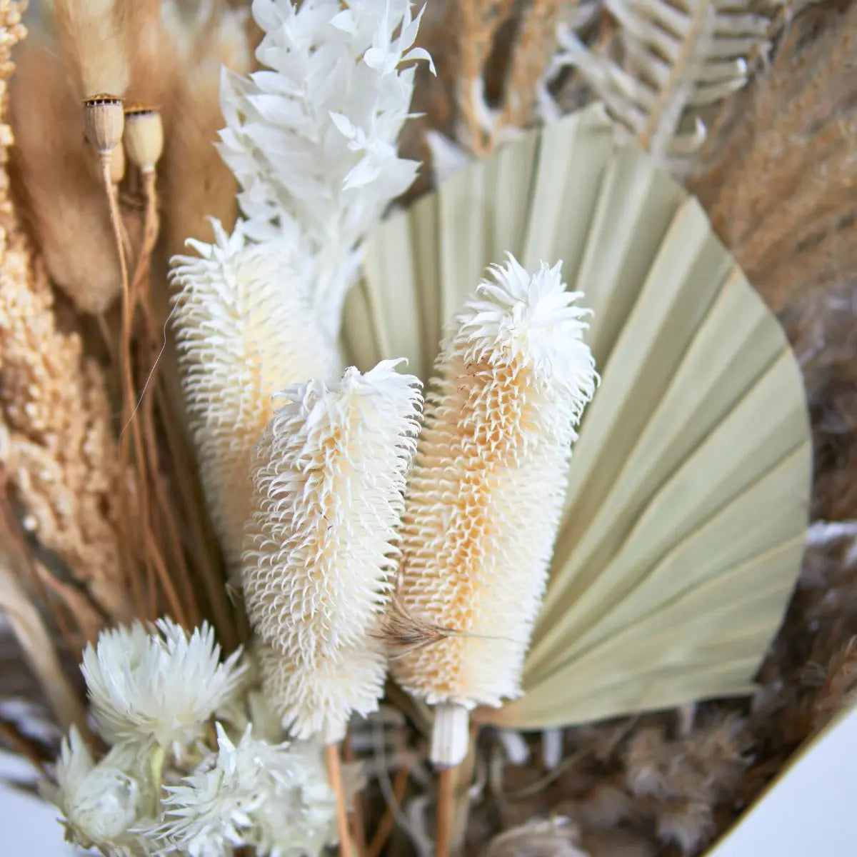 Dried Floral Pampas Arrangement C Speckled Space