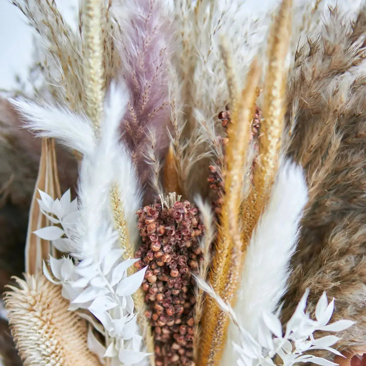Dried Floral Pampas Arrangement D Speckled Space