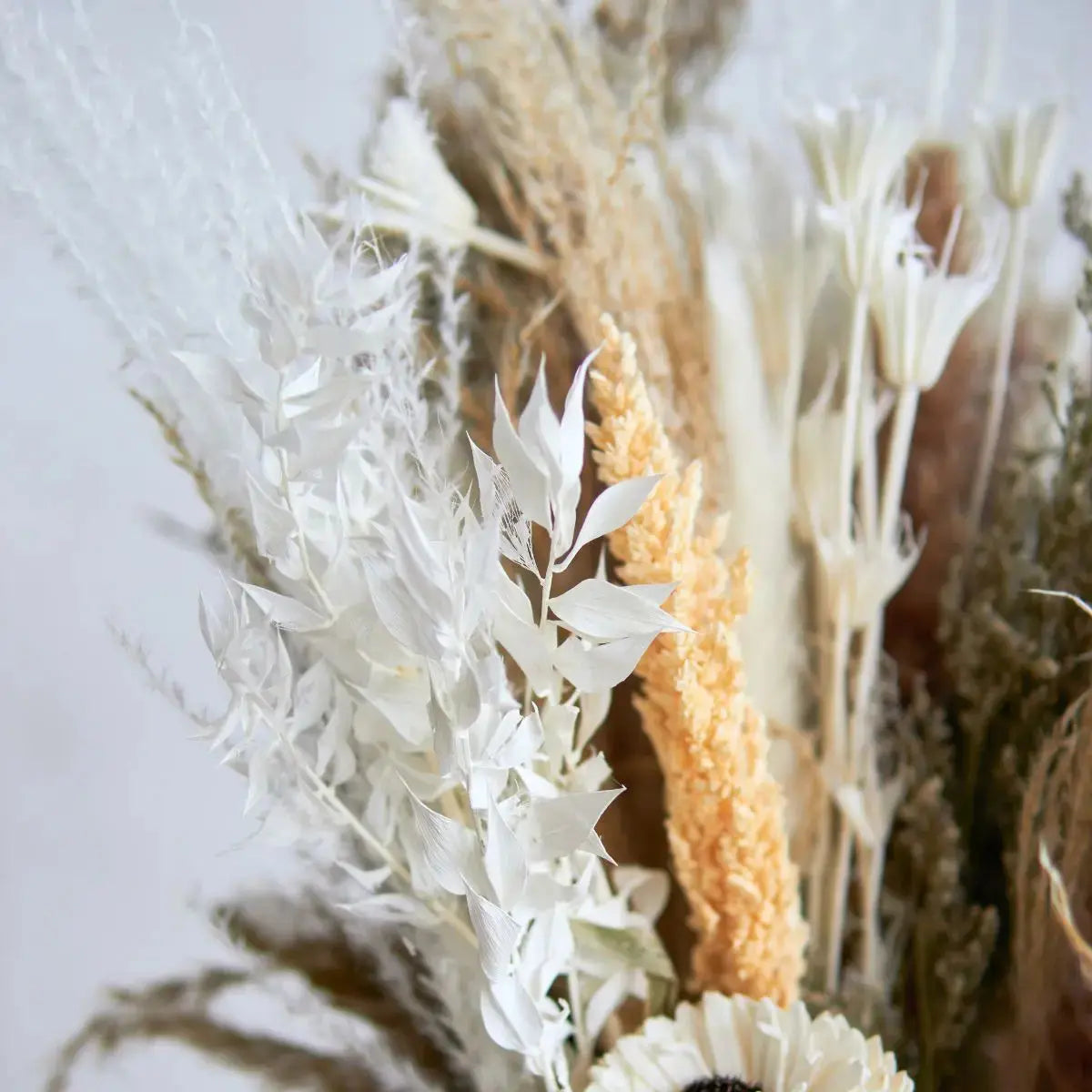 Dried Floral Pampas Arrangement E Speckled Space