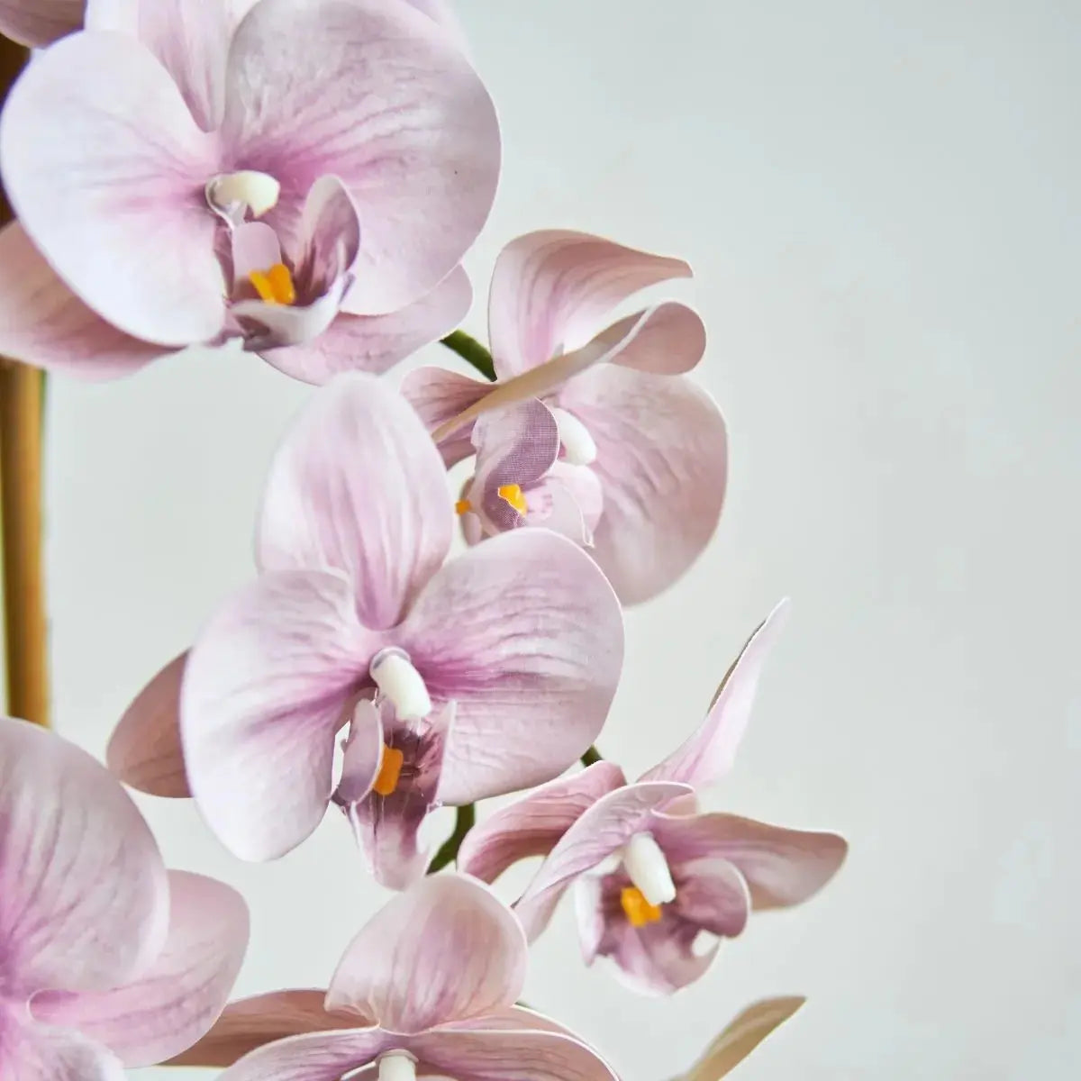 Faux Orchid Floral Arrangement Speckled Space
