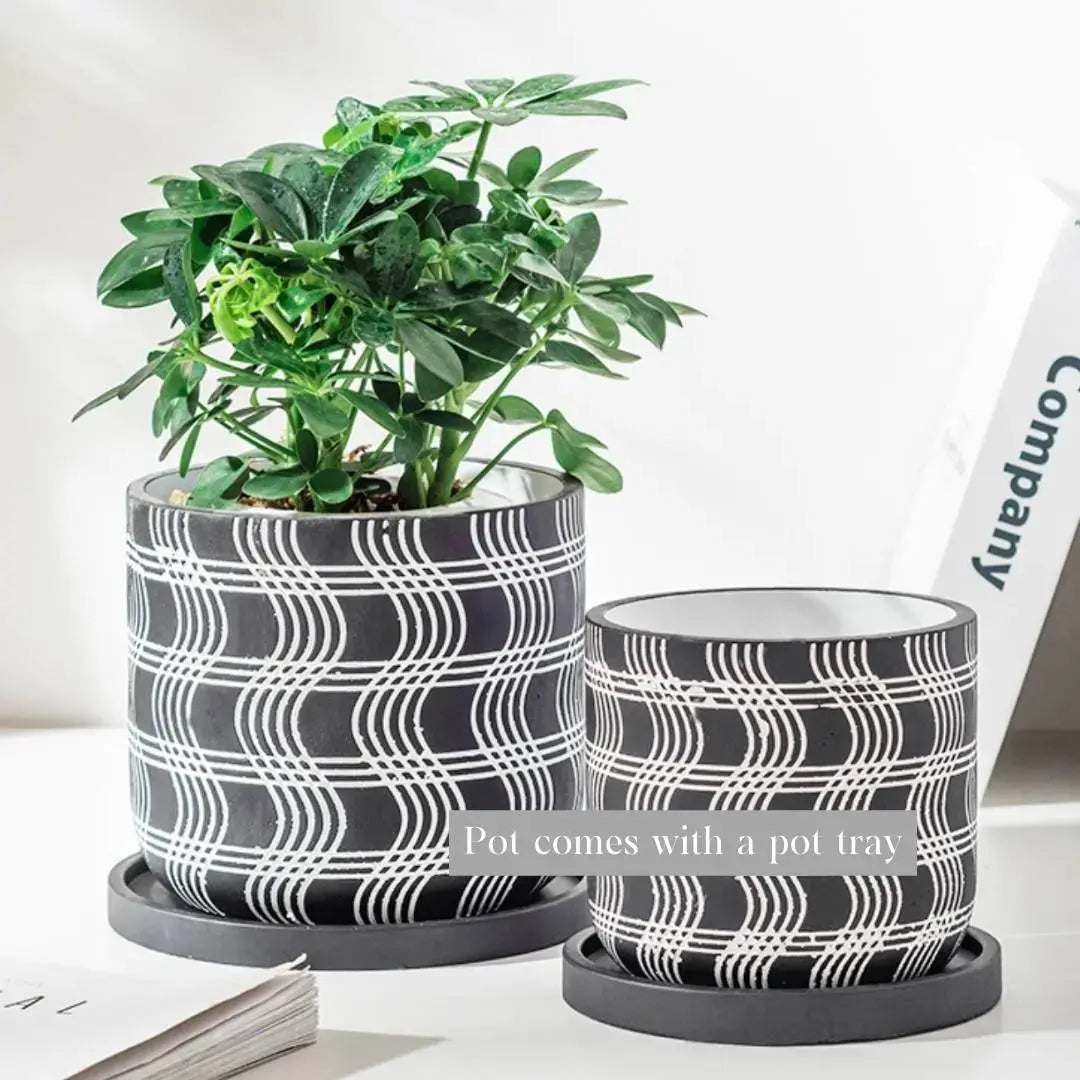 Raven Concrete Flower Pot-Speckled Space