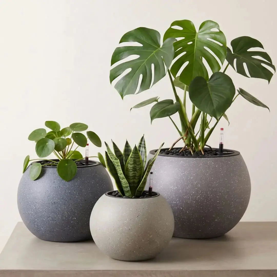 Domi Premium Plastic Self Watering Flower Pot Speckled Space