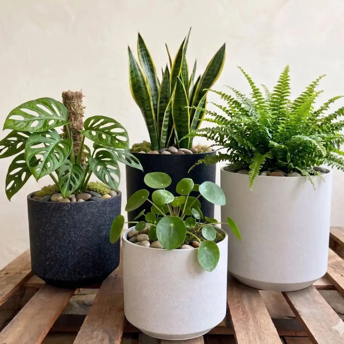 Borg Premium Thick Plastic Flower Pot Speckled Space